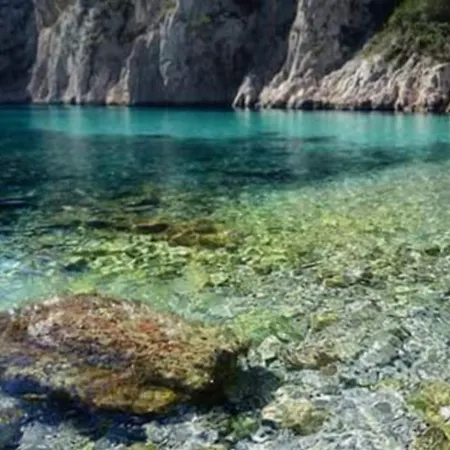 アパート Le Cezanne カシ